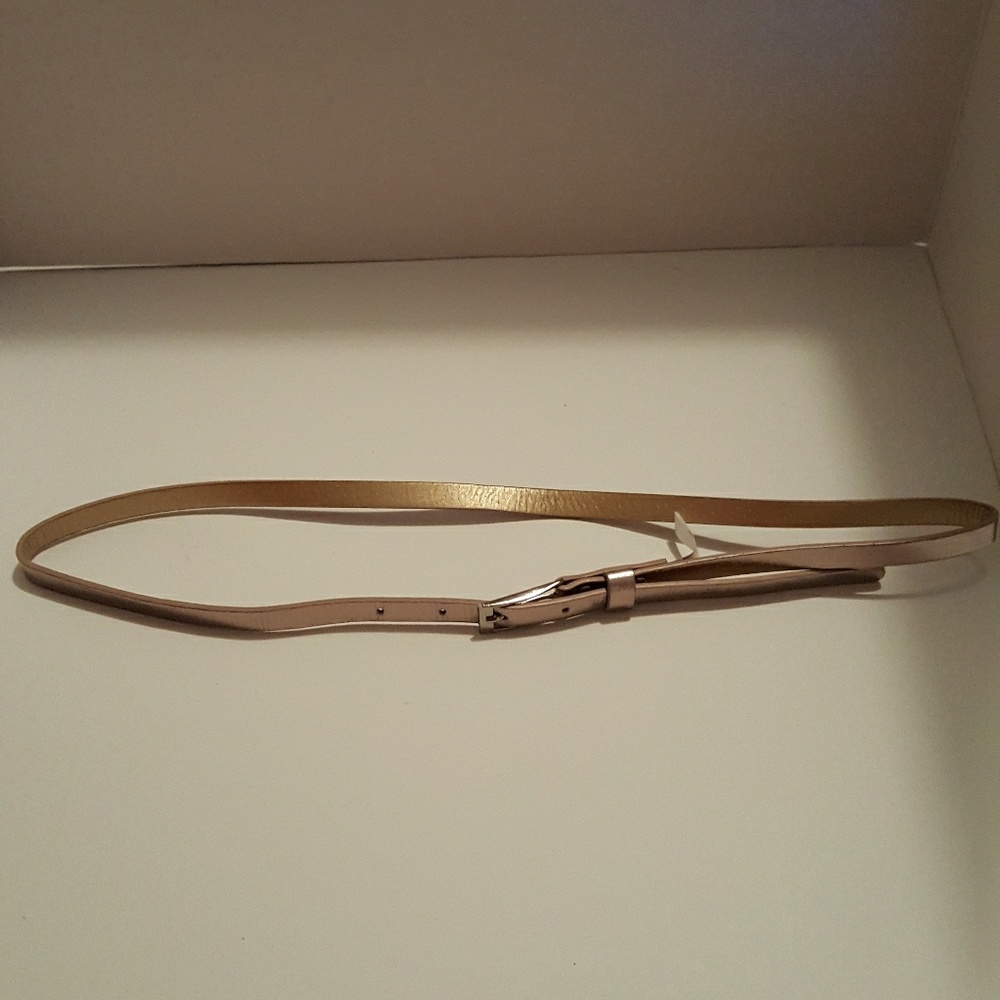 EXPRESS METALLIC SKINNY BELT